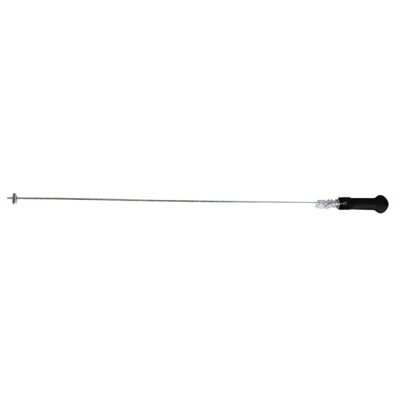 Spannsystem Burley D Lite Cub EncoreHoney Bee ab 2010