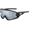 Sonnenbrille Alpina 5W1NG schwarz Glas schwarz versp Kat3