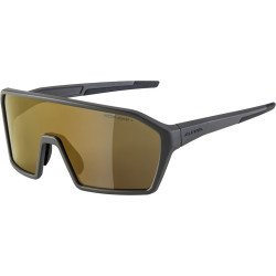 Sonnenbrille Alpina Ram Q Lite coffeegrey matt Glas gold versp Kat3