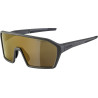 Sonnenbrille Alpina Ram Q Lite coffeegrey matt Glas gold versp Kat3