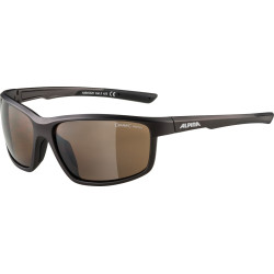 Sonnenbrille Alpina Defey tinn matt sw Glas braun versp Kat3