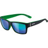 Sonnenbrille Alpina Kacey schwarz matt grunGlas grunverspKat3