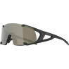 Sonnenbrille Alpina Hawkeye Q Lite schwarz matt Glas silber versp Kat3