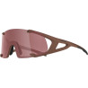 Sonnenbrille Alpina Hawkeye Q Lite brick matt Glas sw rot versp Kat3