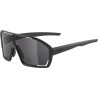 Sonnenbrille Alpina Bonfire schwarz matt Glas schwarz Kat3
