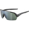 Sportbrille Alpina Turbo HR Q Lite schwarz matt Glas silber versp Kat3