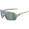 Sportbrille Alpina Turbo HR Q Lite cool grau matt Glas silberverspKat3